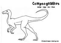 compsognathus