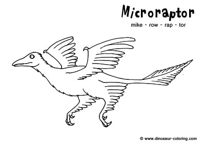 Microraptor