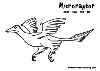 microraptor