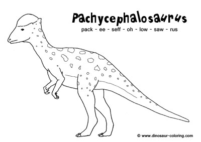 pachycephalosaurus