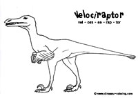 velociraptor