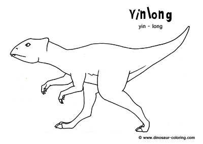 Yinlong