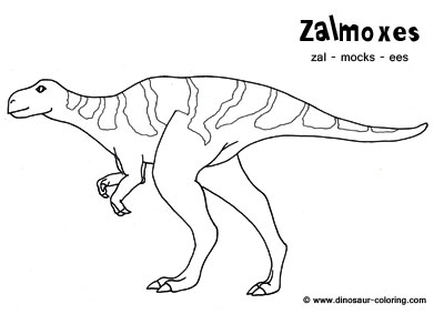 Zalmoxes
