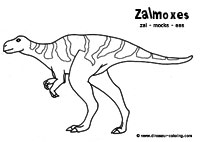 zalmoxes